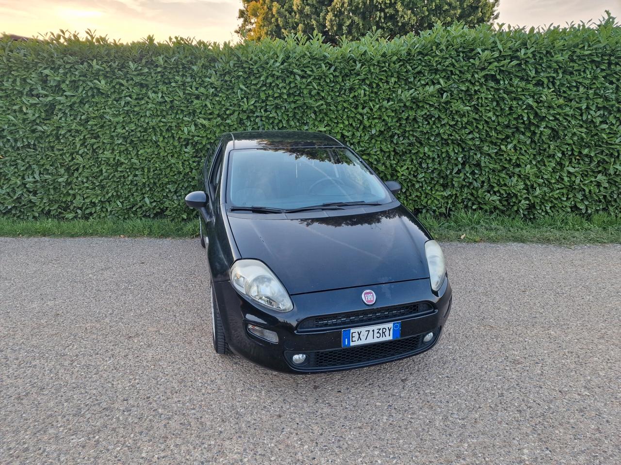Fiat Punto 1.3 MJT 75cv 5p