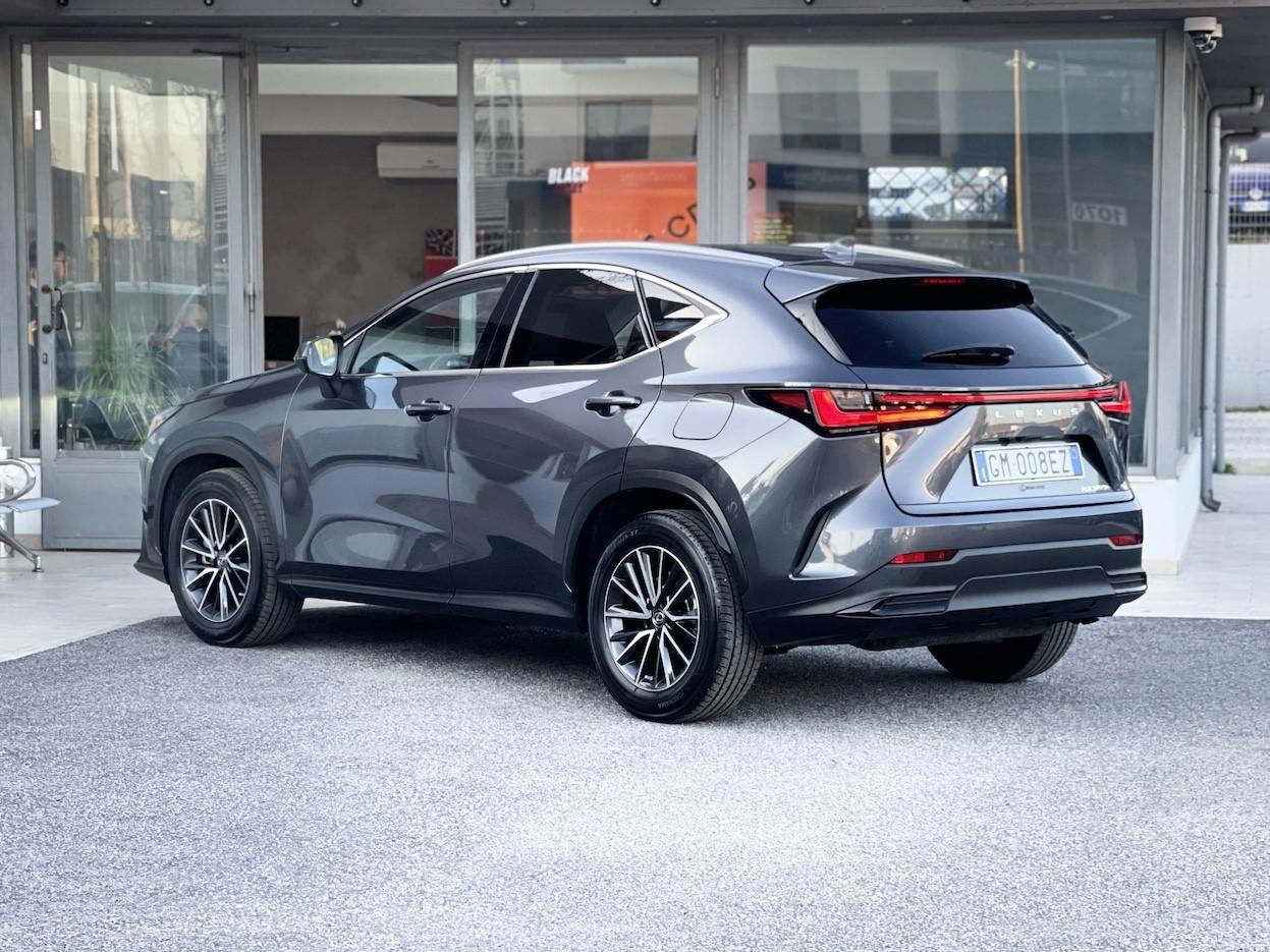 Lexus NX 350 2.5 Hybrid 190CV 4WD E6 Automatica - 2022