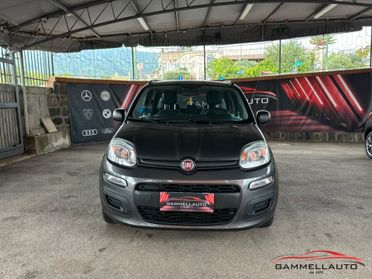 Fiat New Panda 1.2 Easy 69cv