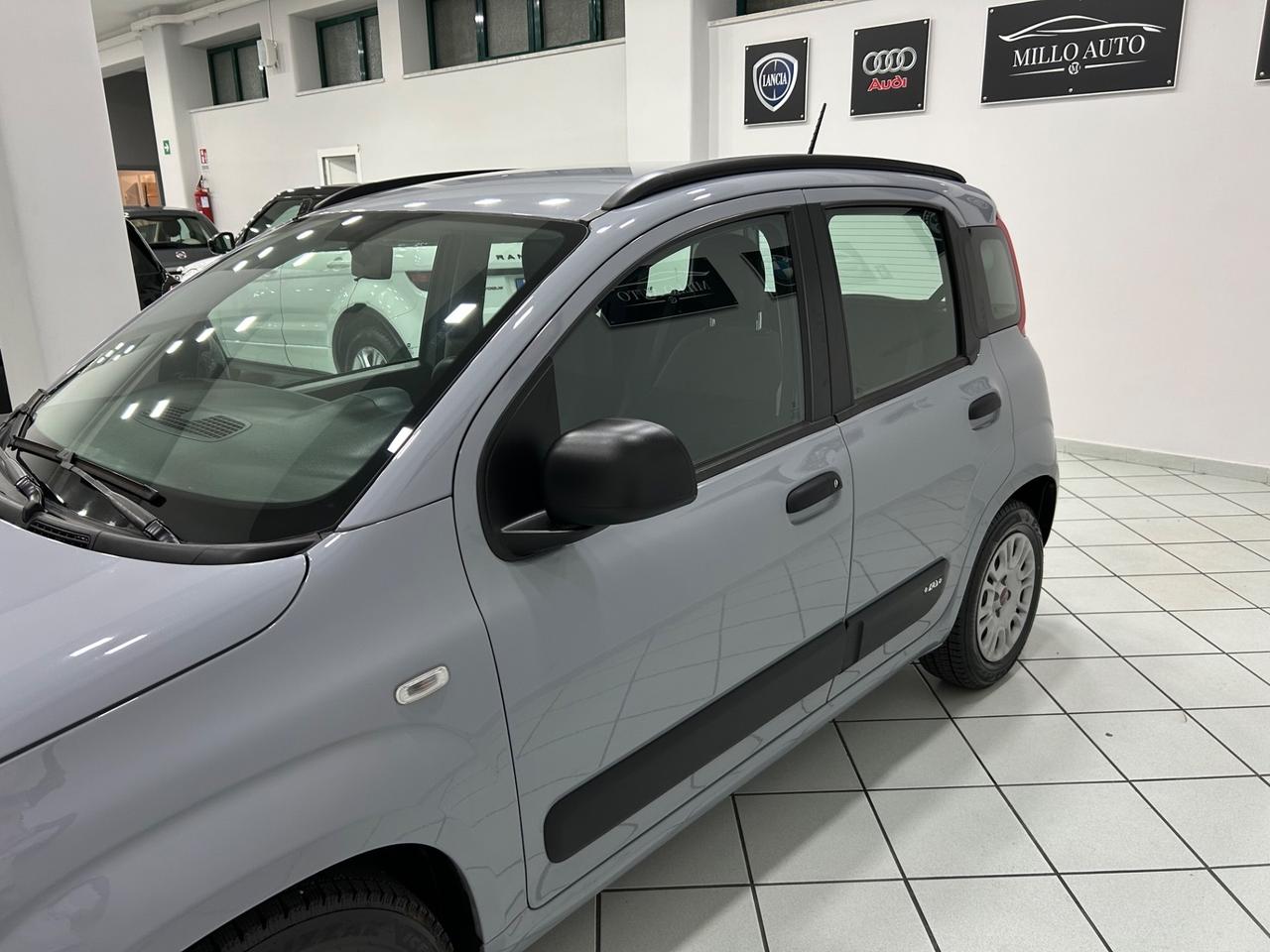 Fiat Panda 1.2cc 69cv Easy UNICO PROPRIETARIO