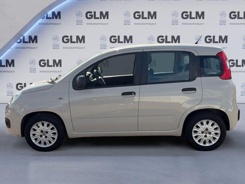 FIAT Panda Panda 1.2 Easy 69cv