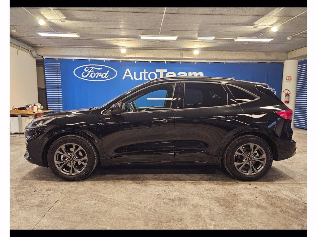 FORD Kuga 2.0 ecoblue st-line 2wd 120cv auto del 2024