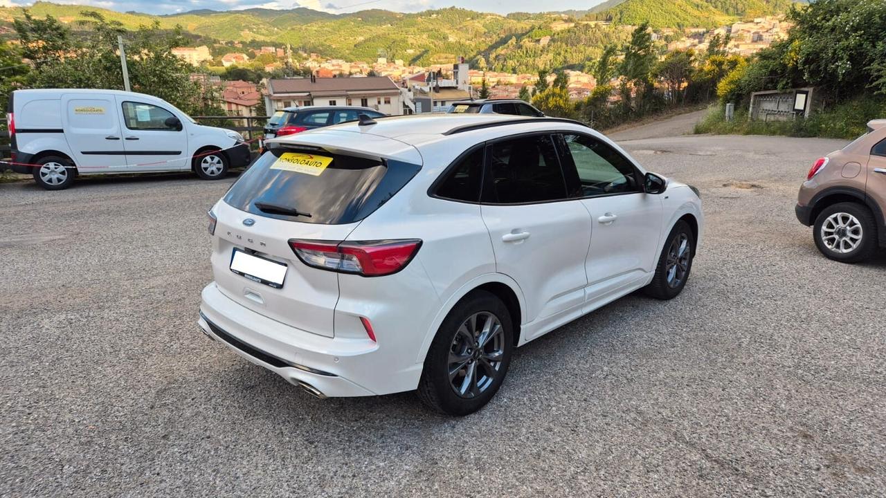 Ford Kuga 1.5 EcoBlue 120CV 2WD ST-Line X - 2021
