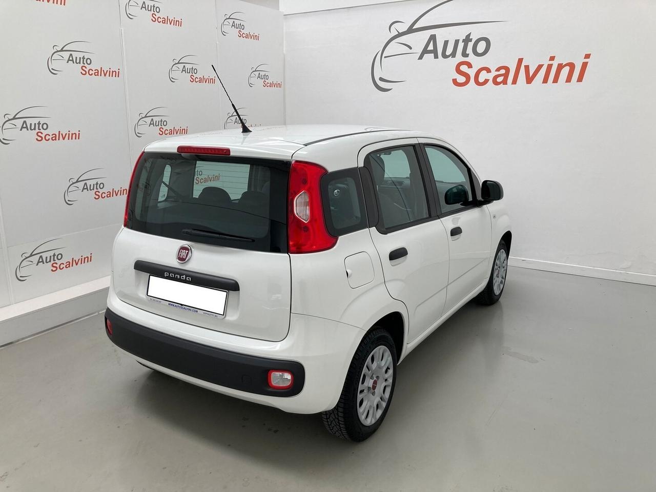 Fiat Panda 1.2 Easy 69CV 5POSTI#NEOPATENTATI