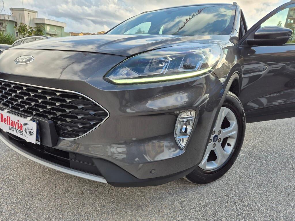Ford Kuga 1.5 EcoBlue 120CV 2022