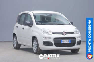 Fiat Panda 1.0 firefly hybrid 70CV Icon