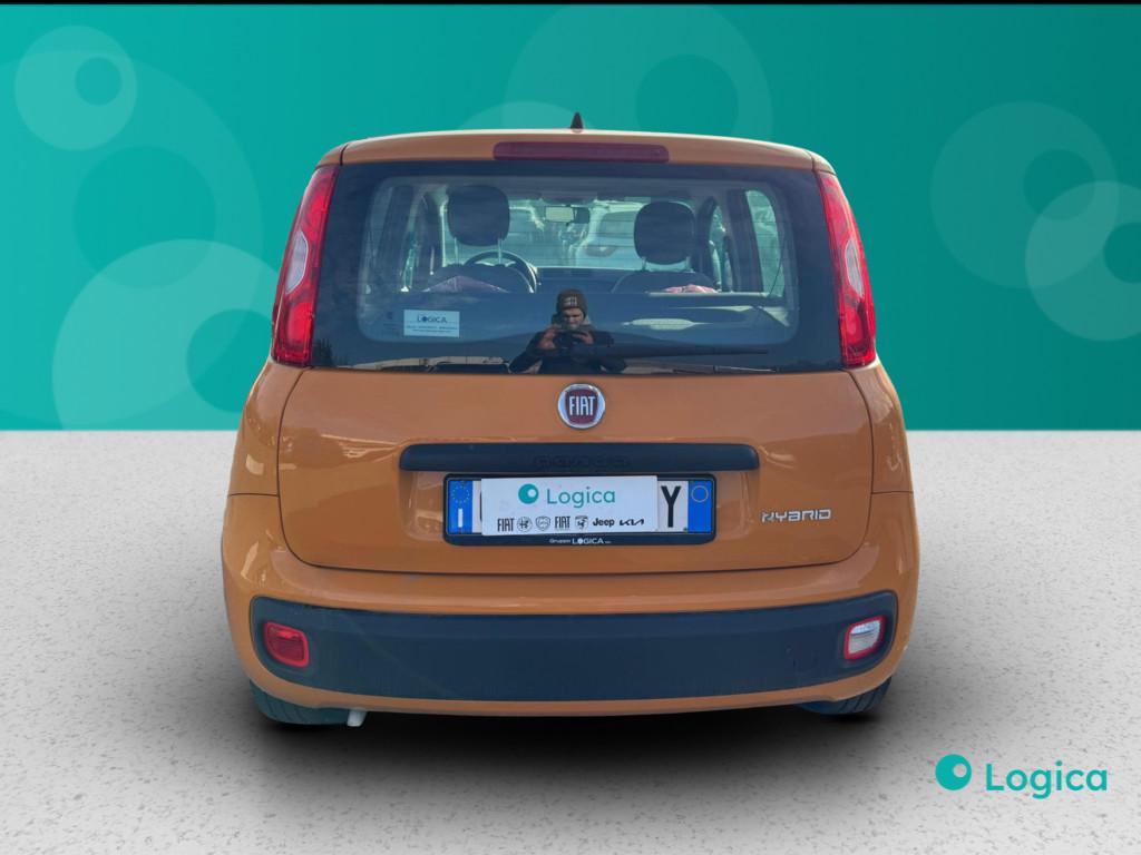 FIAT Panda III 2021 - Panda 1.0 firefly hybrid s&s 70cv