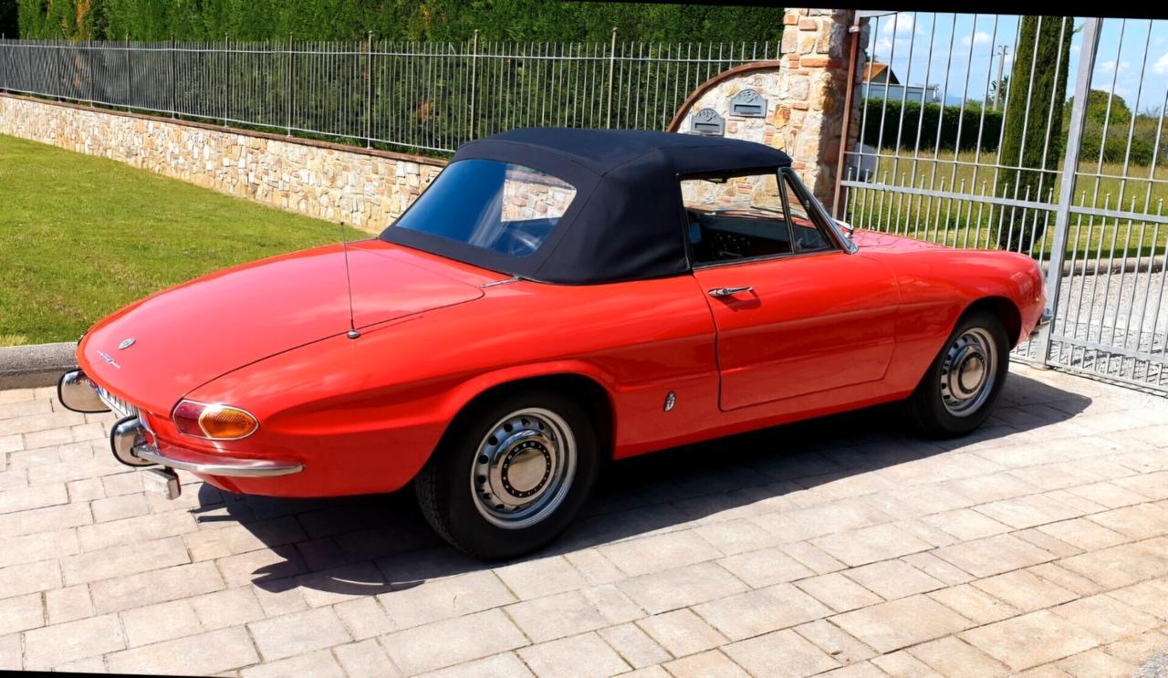 Alfa Romeo Spider Duetto osso di seppia 1750