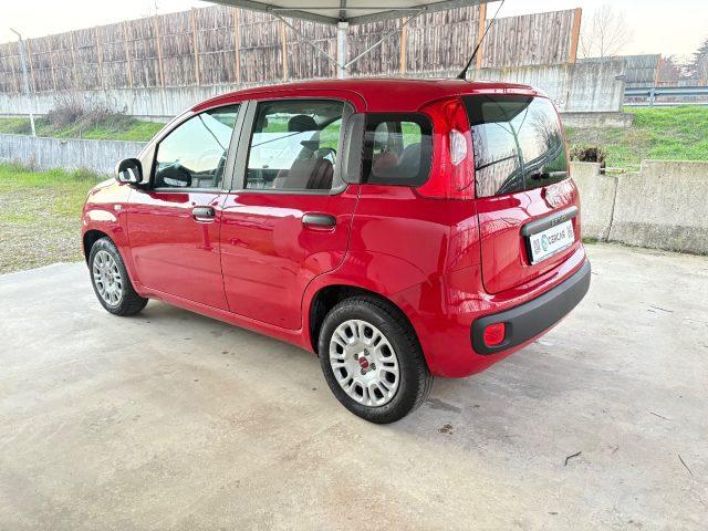 FIAT Panda 1.2 Pop UNICO PROPRIETARIO POCHI CHILOMETRI