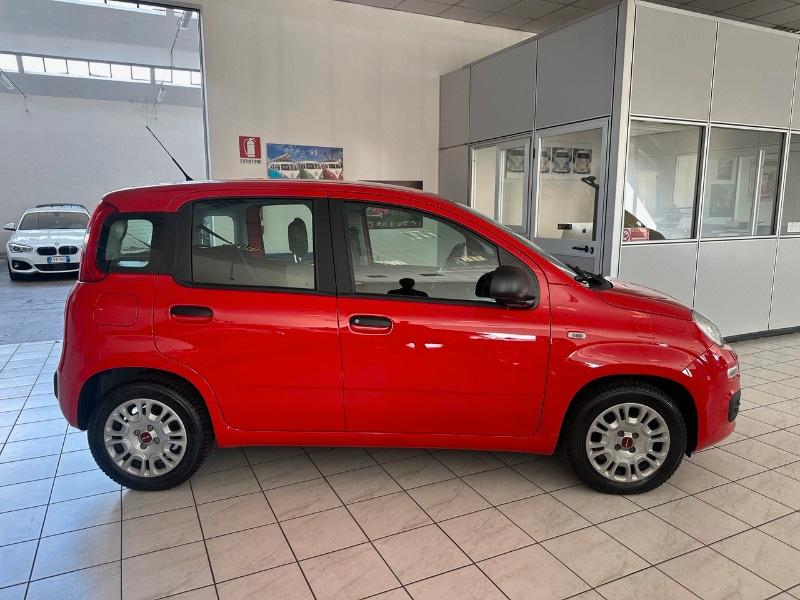 FIAT Panda 3ª serie Panda 1.0 FireFly S&S Hybrid