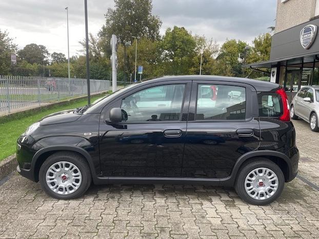 FIAT Panda 1.0 70cv Hybrid Panda N71487