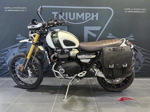 TRIUMPH Scrambler Scrambler 1200 XE