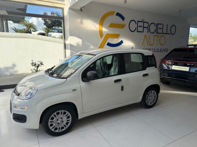 FIAT Panda 1.0 FireFly S&S Hybrid Pop da ?139,00 mensili