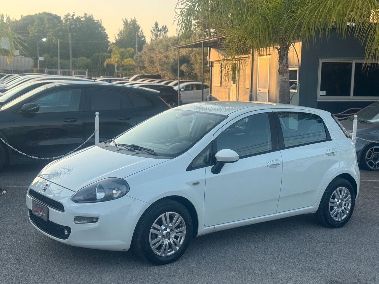 Fiat Punto 1.3 MJT II 75 CV 5 porte Street NAVI