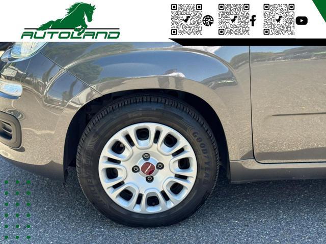 FIAT Panda 1.0 FireFly S&S Hybrid Sensori Parcheggio