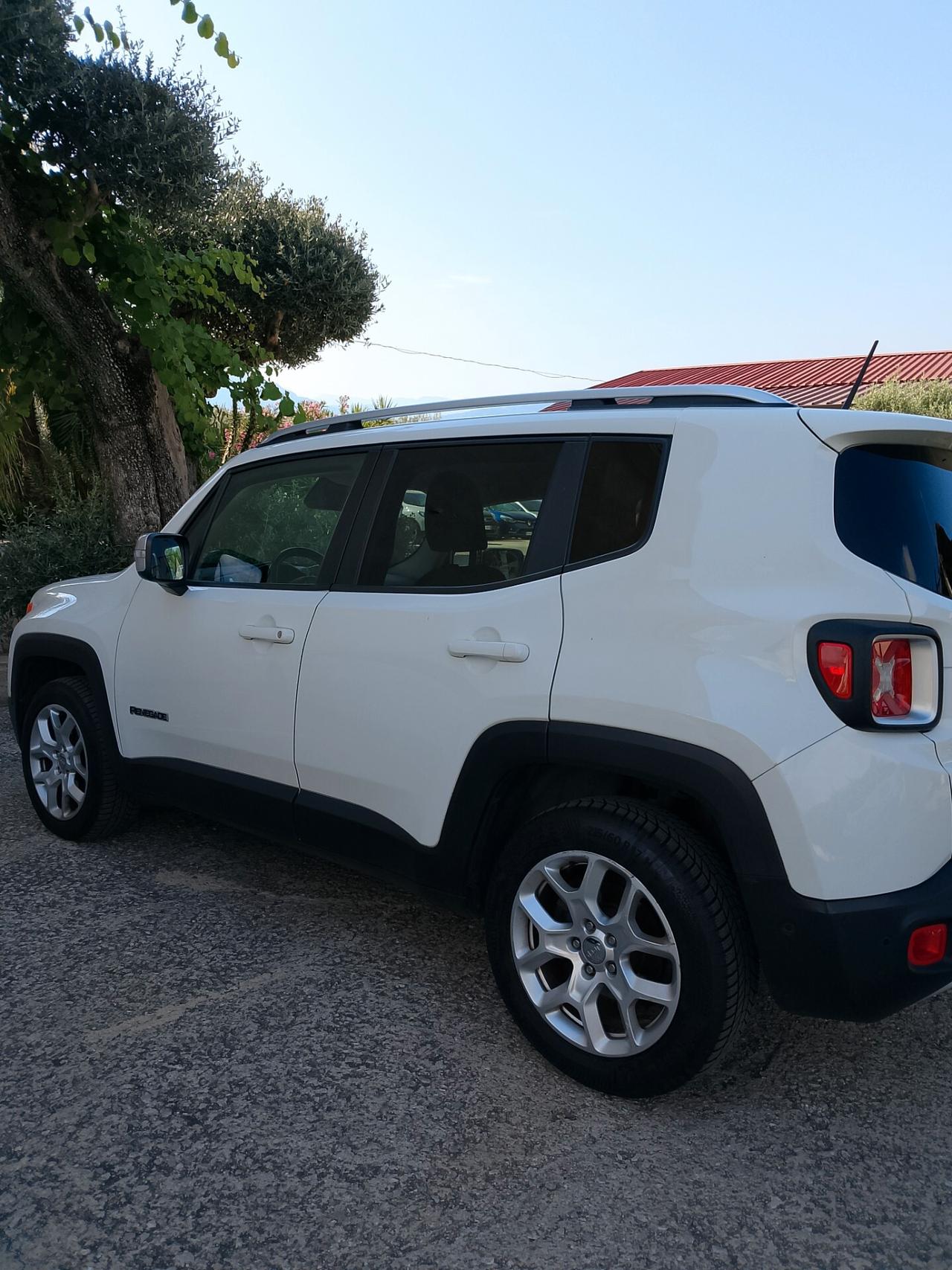 Jeep Renegade 1.6 Mjt 120 CV Longitude