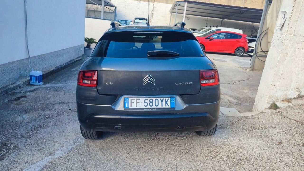 Citroen C4 cactus