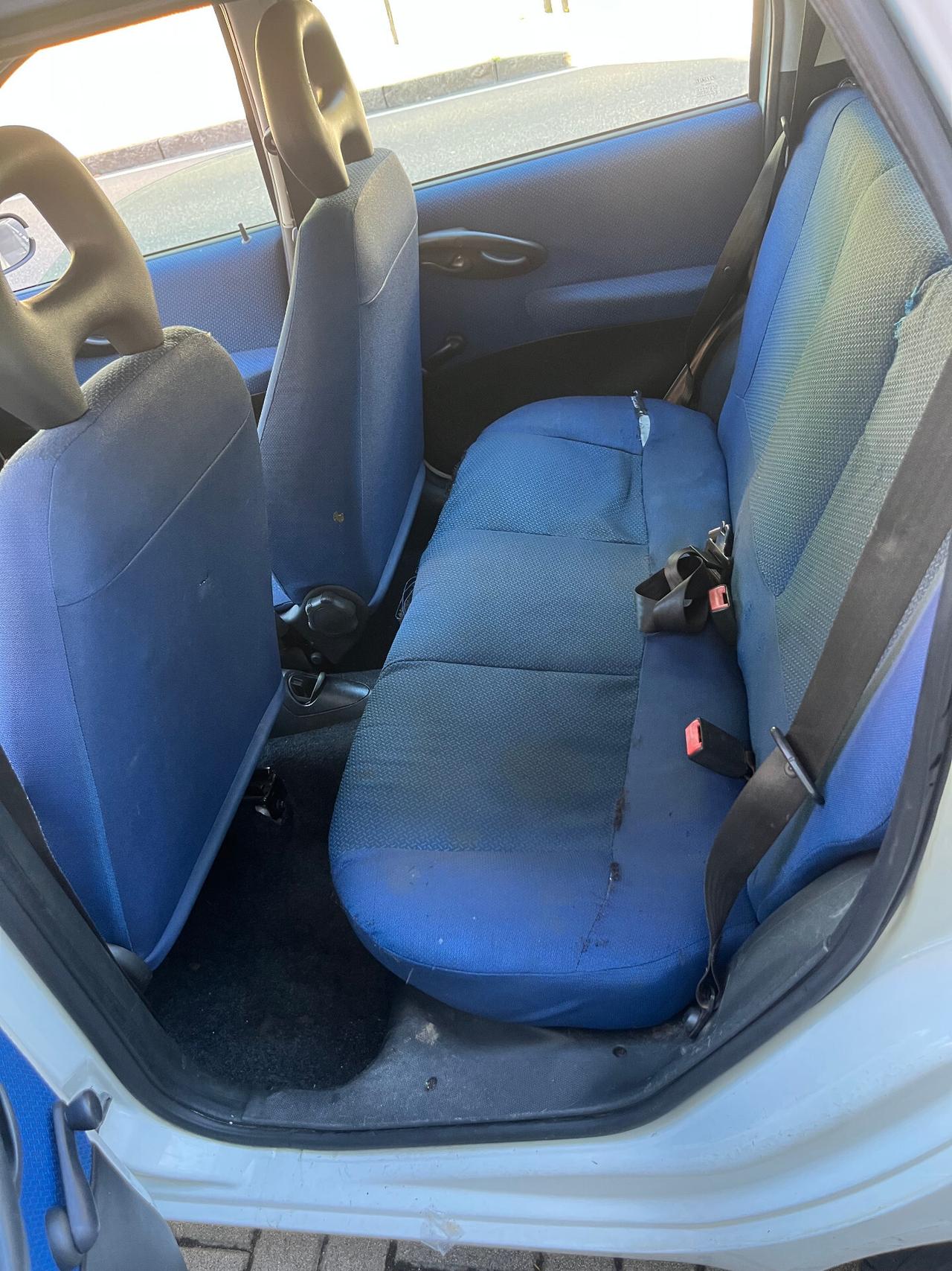 Fiat Punto 1.2i cat 5 porte EL - Anche per neopatentati