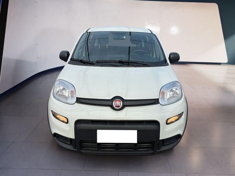 FIAT Panda My23 1.0 70cv Hybrid Panda