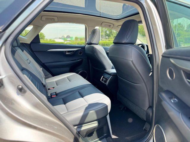 LEXUS NX 300h HYBRID 4WD EXECUTIVE *TETTO*PELLE*