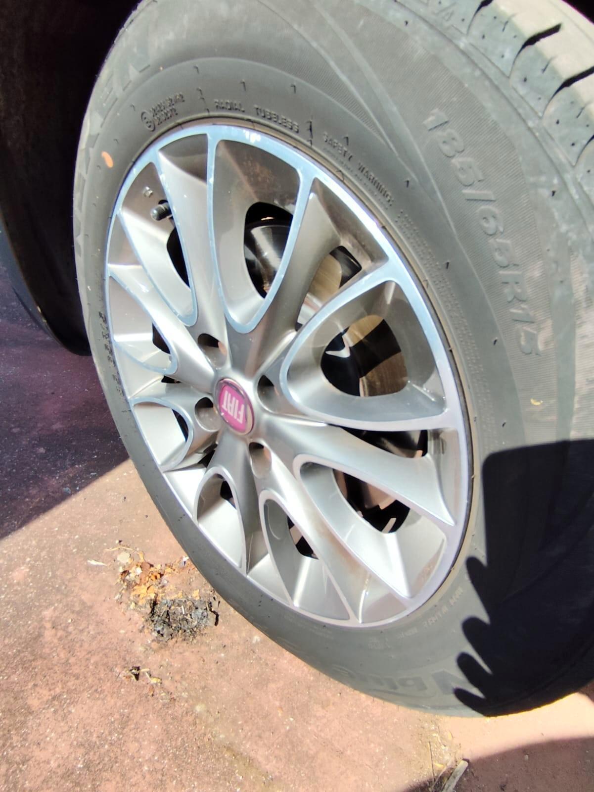 Fiat Punto Evo Punto Evo 1.3 Mjt 95 CV DPF 5 porte S&S Emotion