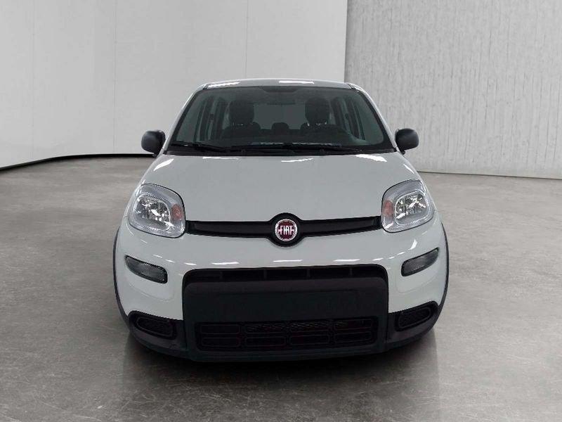 FIAT Panda 1.0 firefly hybrid s&s 70cv 5p.ti