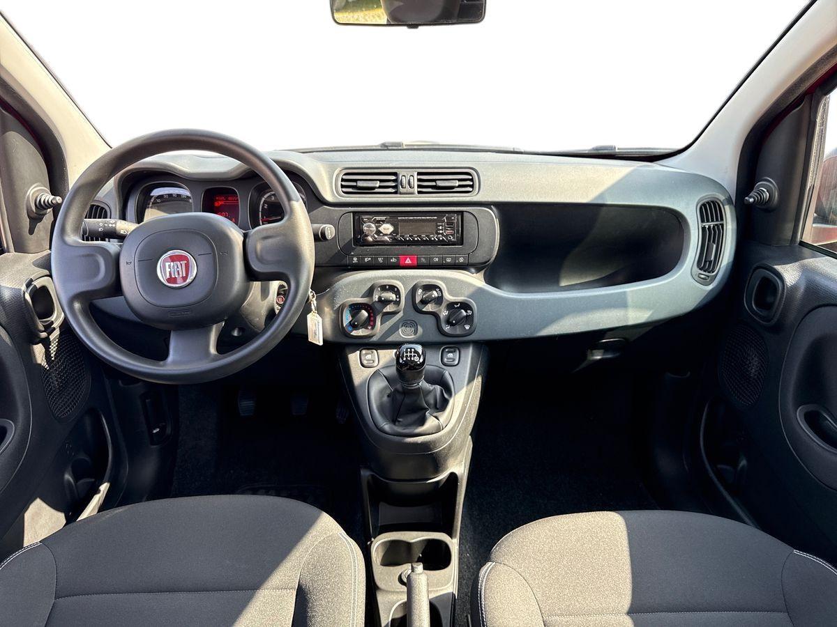 FIAT Panda III 2021 - Panda 1.0 firefly hybrid s&s 70cv