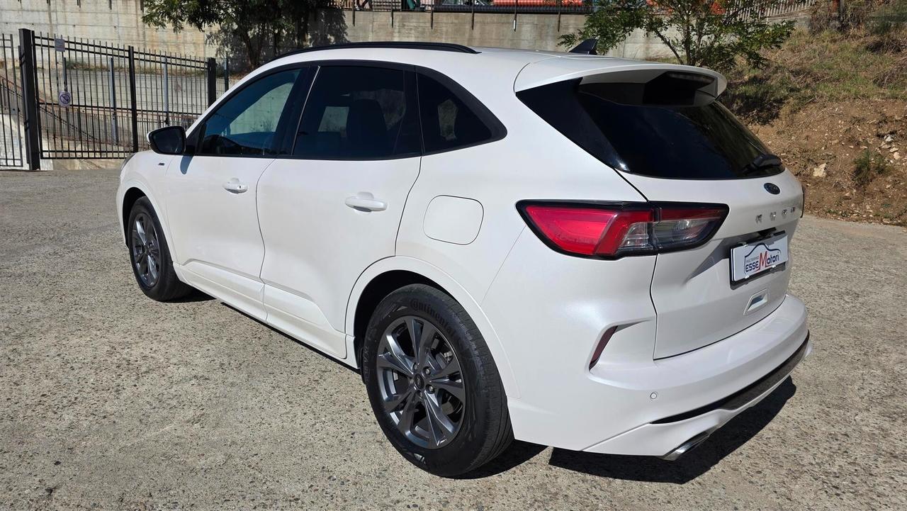 Ford Kuga 1.5 EcoBlue 120 CV aut. 2WD ST-Line X