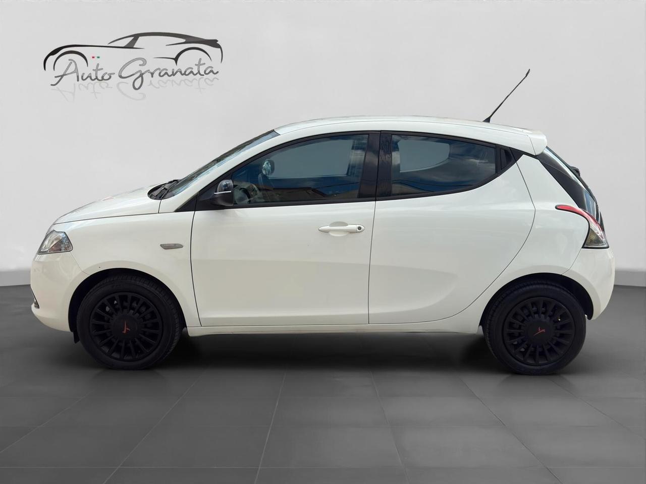 Lancia Ypsilon 1.2 69cv GPL Elefantino Rosa