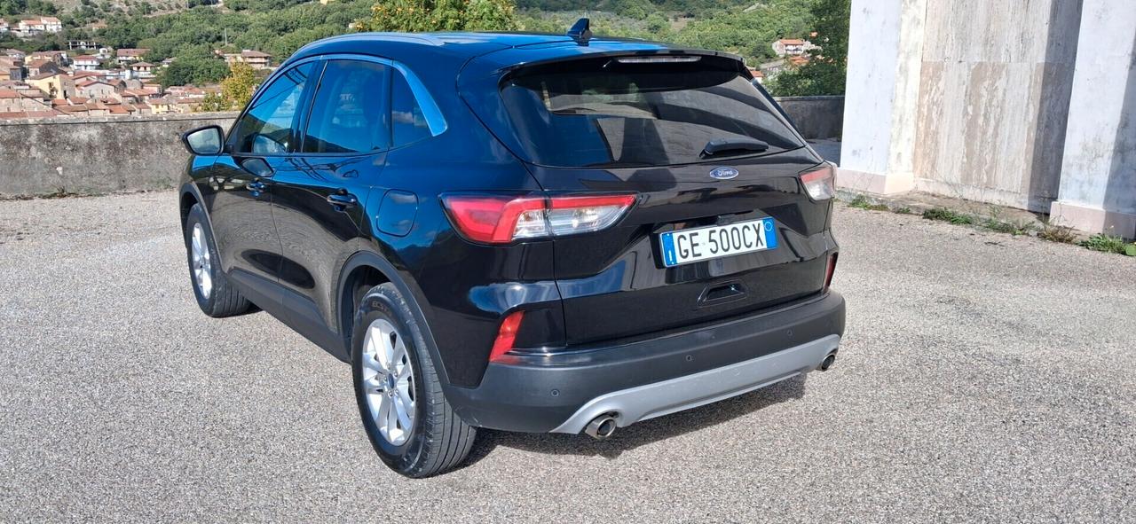 Ford Kuga 1.5 EcoBlue 120 CV 2WD Titanium
