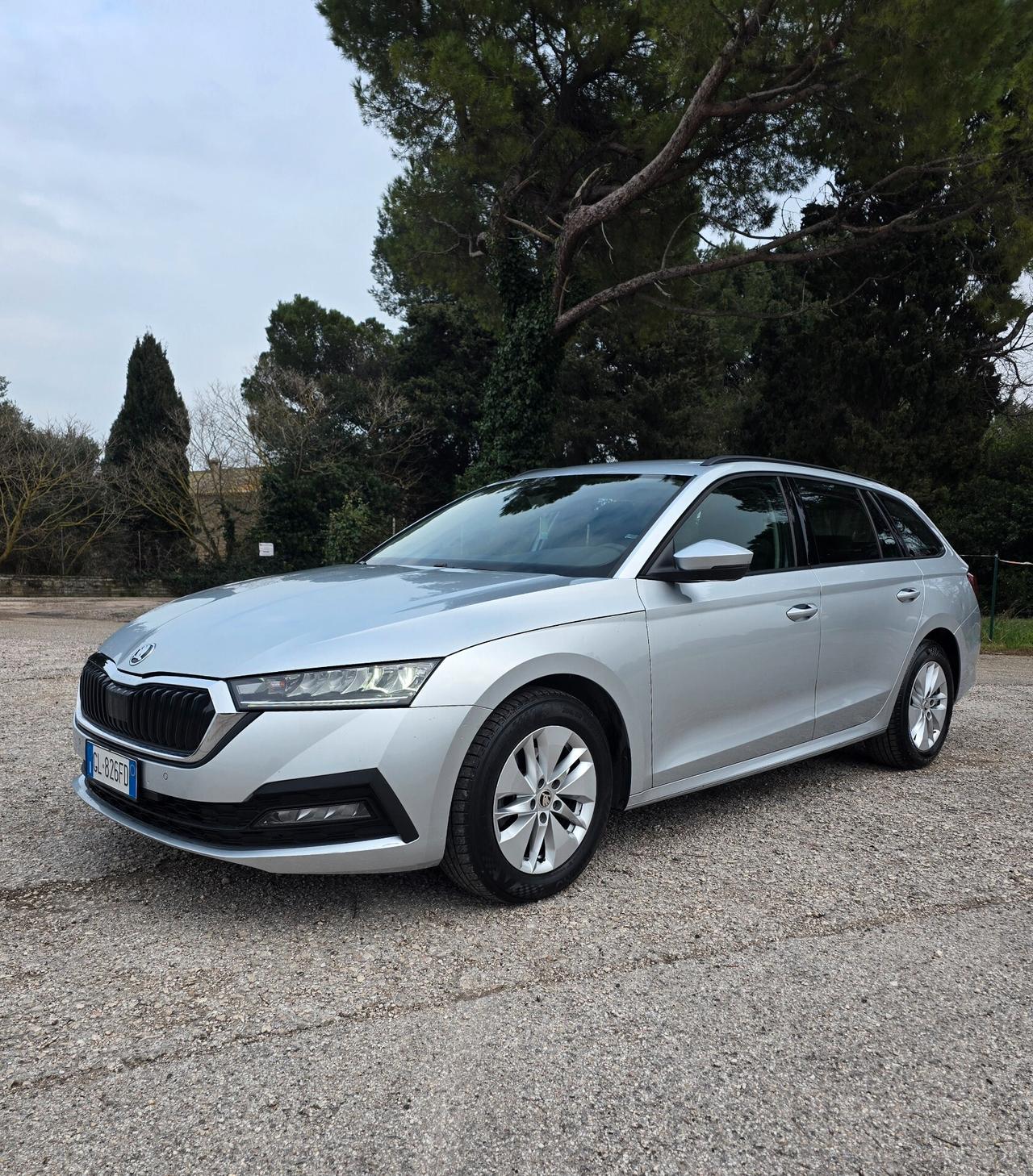 Skoda Octavia 2.0 TDI 116 CV DSG Wagon Executive