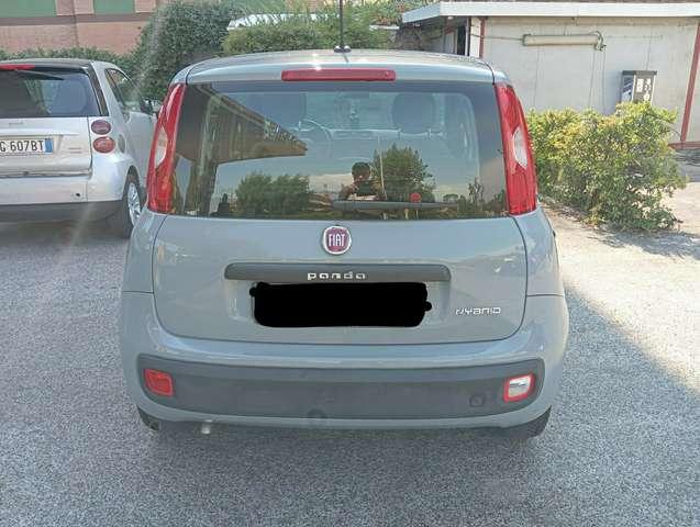 Fiat Panda Panda III 2016 1.0 hybrid Easy s