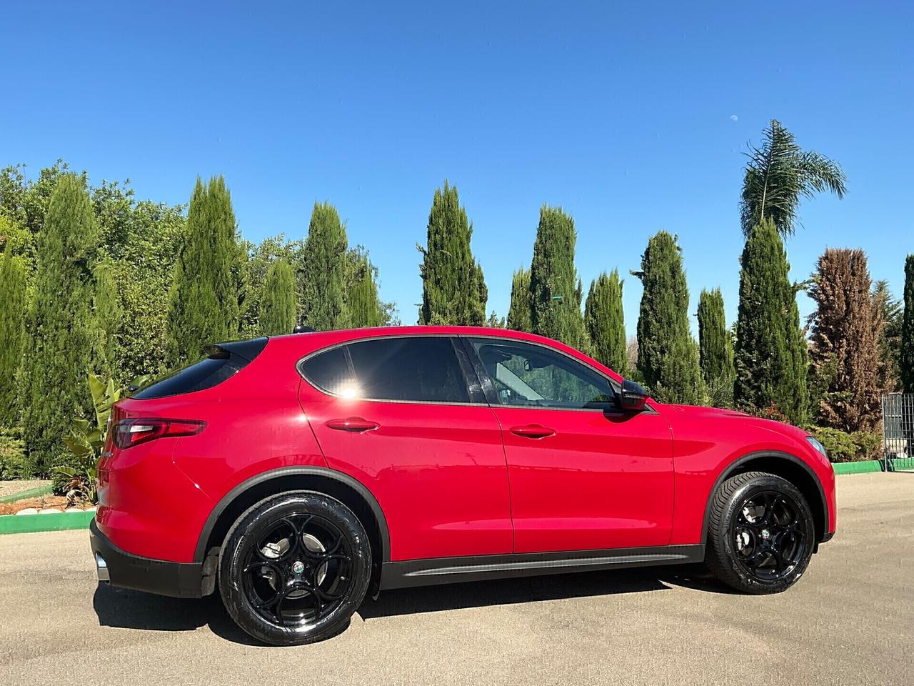 Alfa Romeo Stelvio 2.2 Turbodiesel 160 CV AT8 RWD 2019