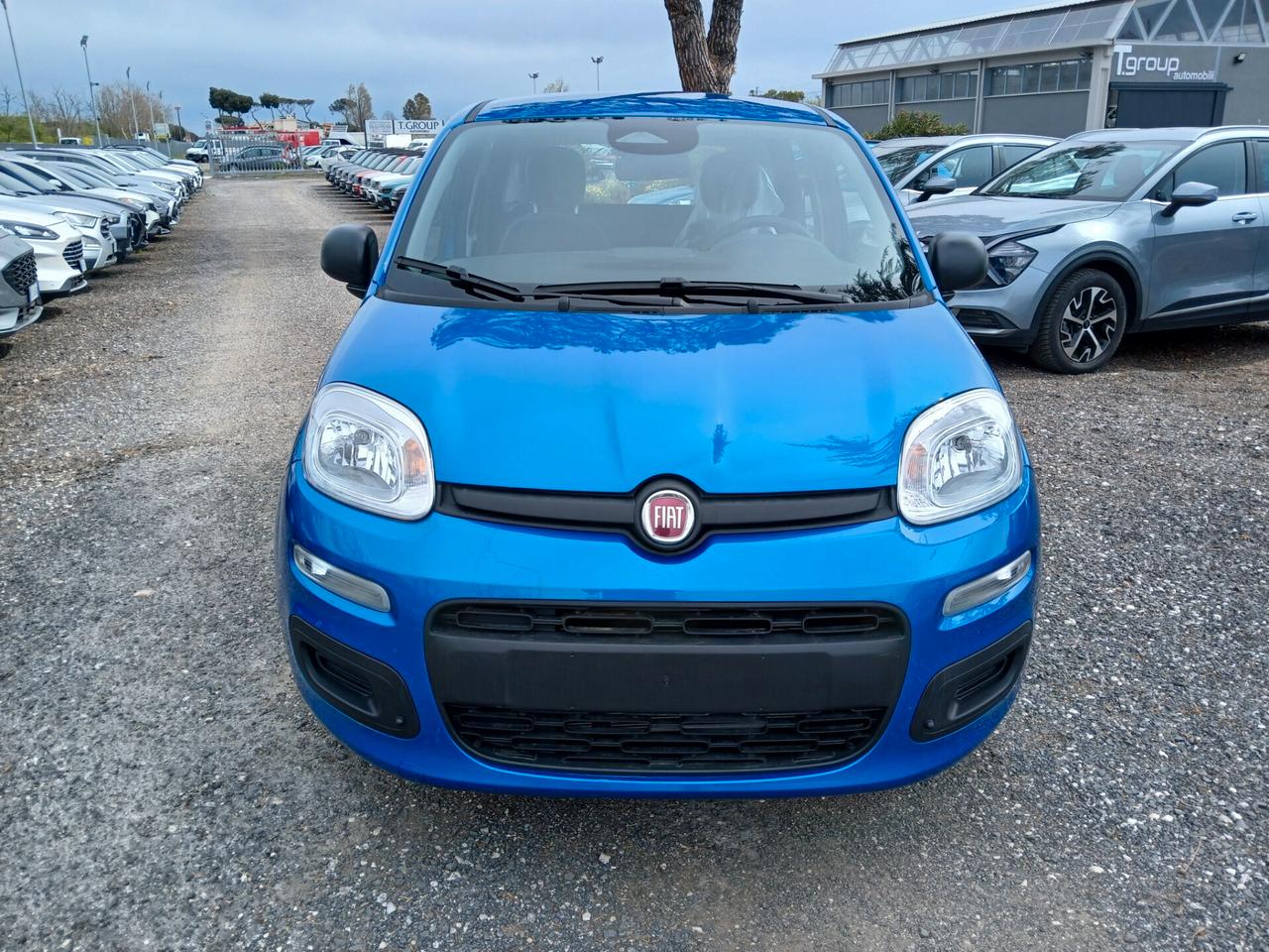 Fiat Pandina 1.0 FireFly 65 CV Hybrid Icon