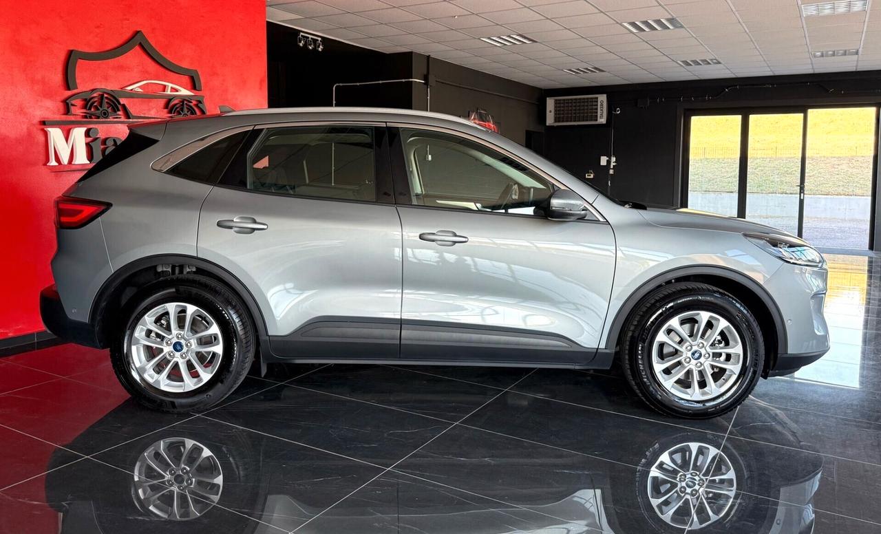 Ford Kuga 1.5 EcoBlue 120 CV aut. 2WD Titanium Business