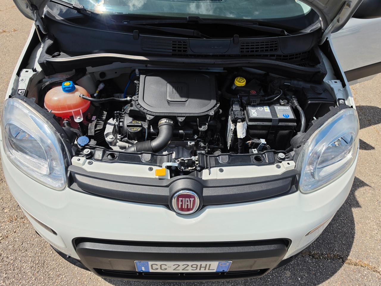 Fiat Panda 1.0 FireFly S&S Hybrid City Life