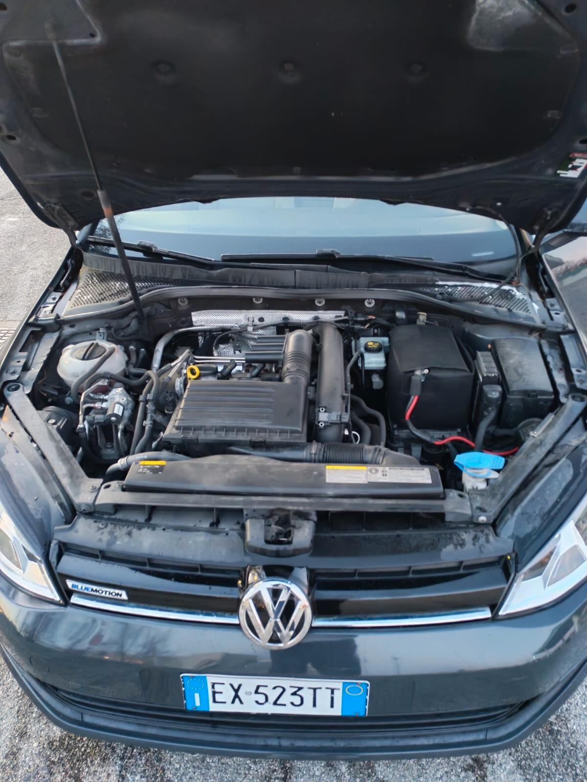 Volkswagen Golf 1.4 TGI 5p. Highline BlueMotion