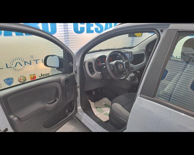 FIAT New Panda City Life 1.0 firefly hybrid 70cv 5 posti