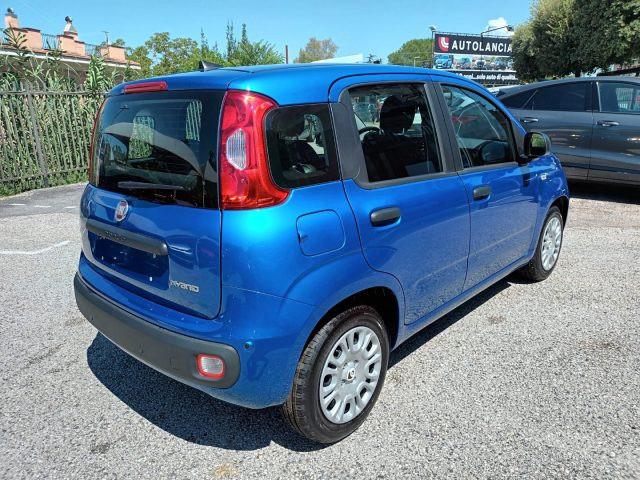 FIAT Panda 1000 HYBRID 70 CV PACK CITY 5 POSTI USB ITALIA