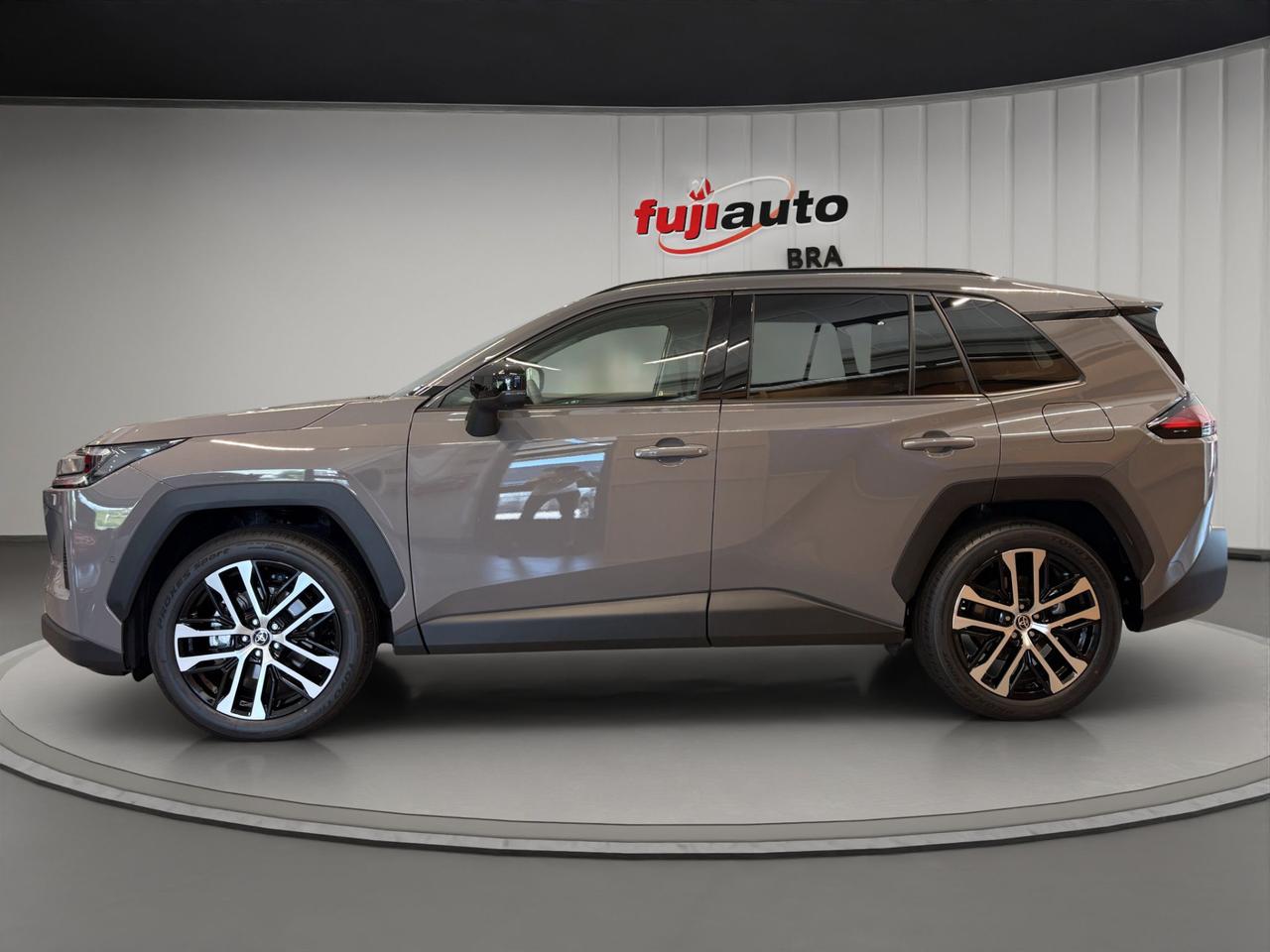 Toyota Rav4 2.5 hybrid Premium e-cvt