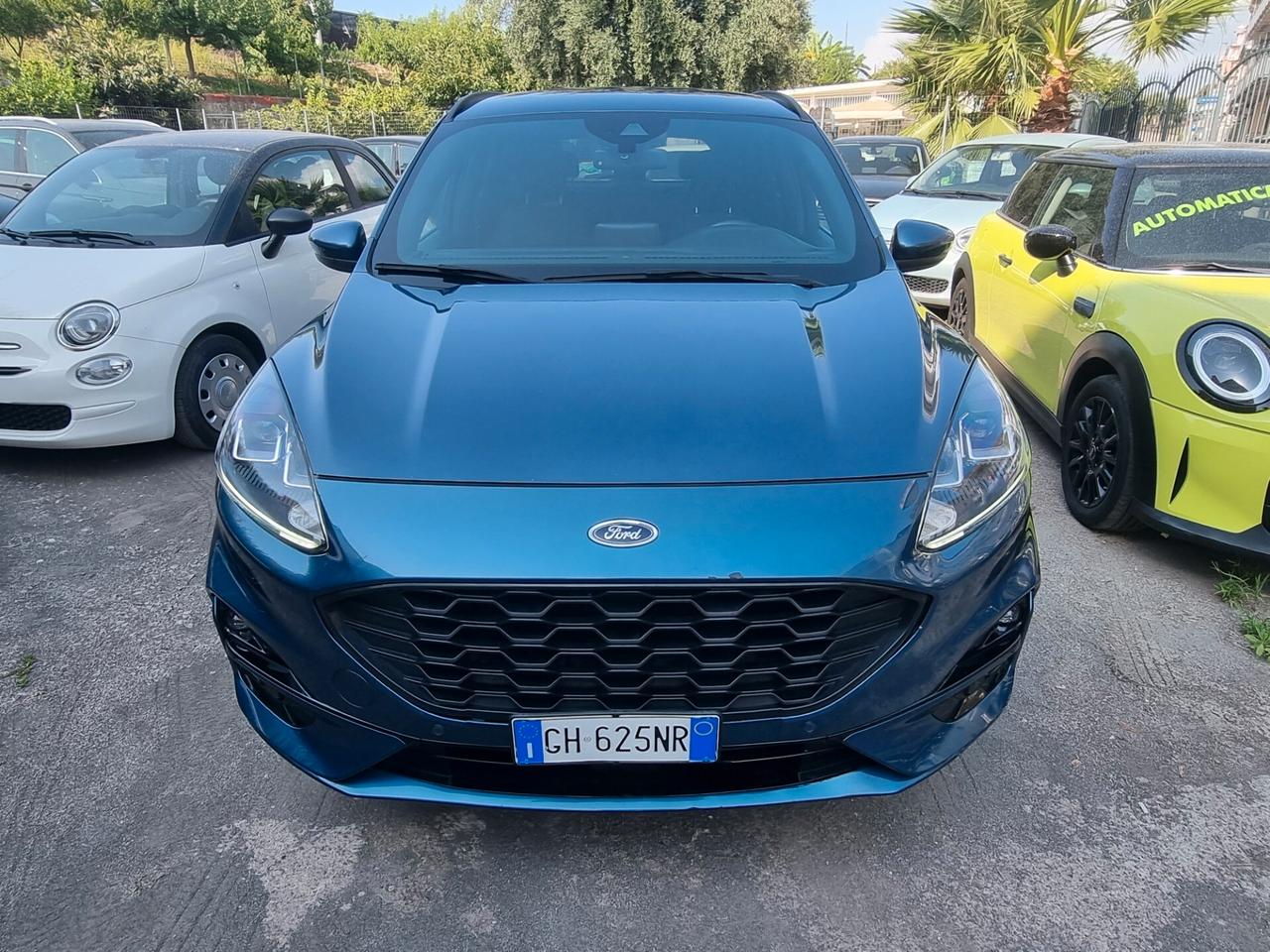 Ford Kuga 1.5 EcoBlue 120 CV aut. 2WD ST-Line