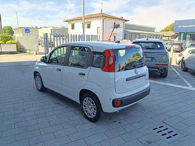 Fiat Panda Hybrid 1.0 FireFly 69cv ICON AZIENDALE