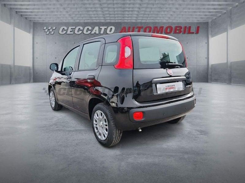 FIAT Panda Panda 1.0 firefly hybrid s&s 70cv