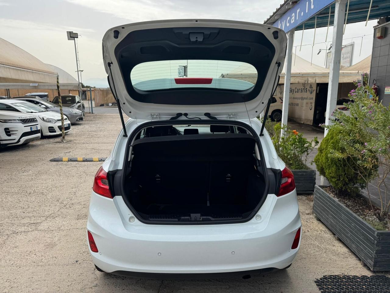 Ford Fiesta 1.5 EcoBlue 5 porte Titanium