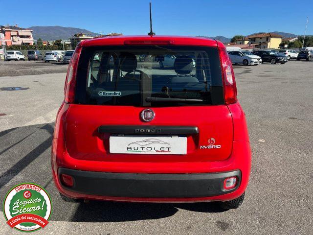 FIAT Panda 1.0 FireFly S&S Hybrid - PER NEOPATENTATO -