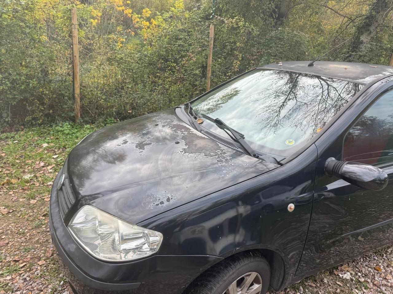 Fiat Punto 1.2 3 porte Active