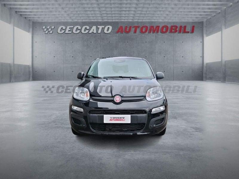 FIAT Panda Panda 1.0 firefly hybrid s&s 70cv
