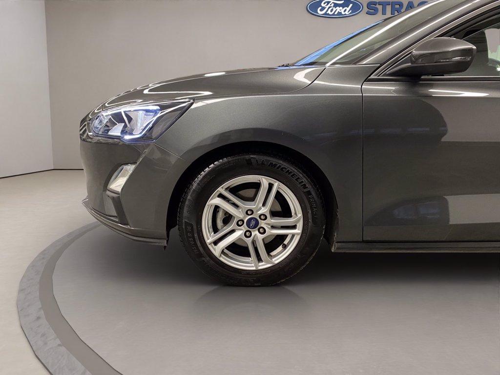 FORD Focus 1.0 ecoboost Business s&s 100cv del 2019