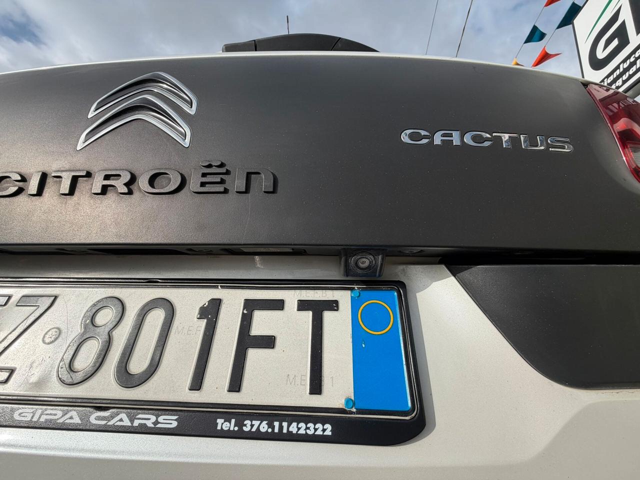 Citroen C4 Cactus BlueHDi 100 S&S Shine