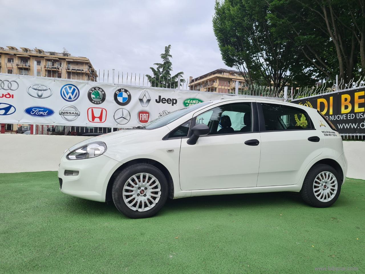 FIAT Punto Evo 1.3 Mjt 75 CV 5p. S&S Active NOLEGGIO